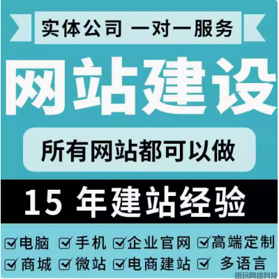 网站建设网页设计制作系统商城搭建跨境网站搭建全包企业搭建开发